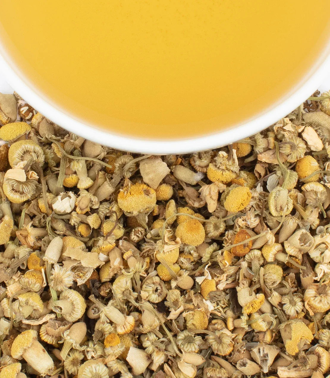 Cup of chamomile herbal tea with dried chamomile flowers on a white background