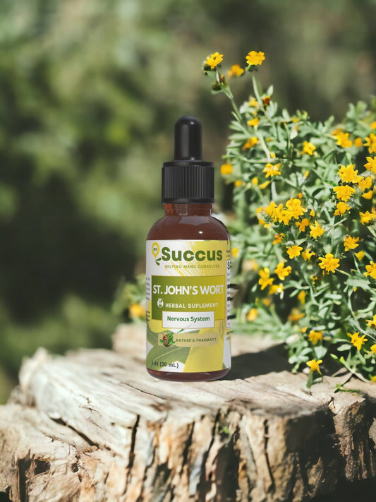 St. John's Wort Tincture | Nervous System (High Potency) | Alcohol-Free | 1 fl oz - Blinks Emporium