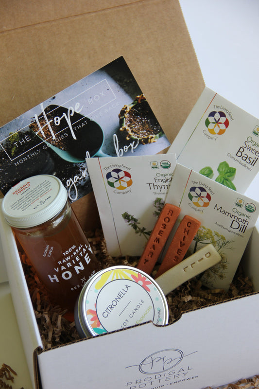 The Hope Box - Blinks Emporium