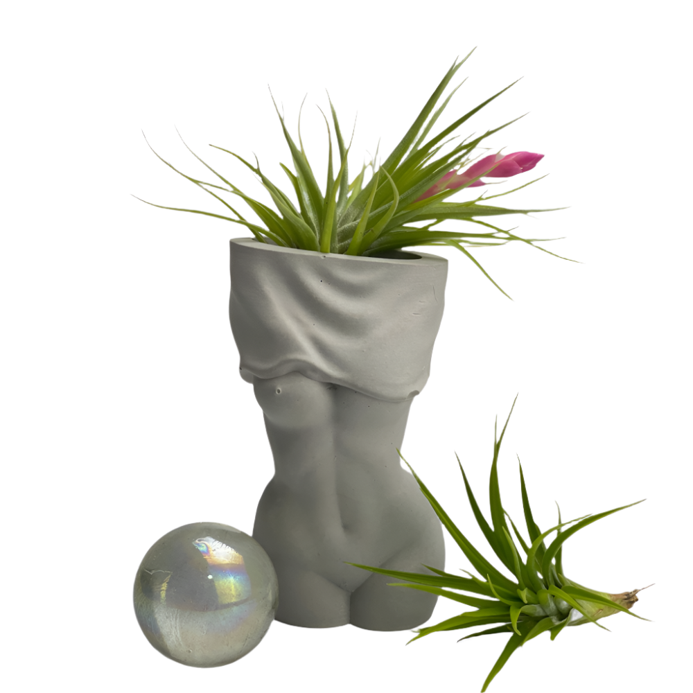 Female Body Vase | AIR PLANT HOLDER