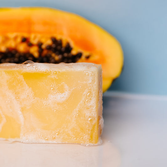 Mango + Papaya Enzyme Bar - Blinks Emporium