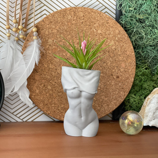 Female Body Vase | AIR PLANT HOLDER - Blinks Emporium