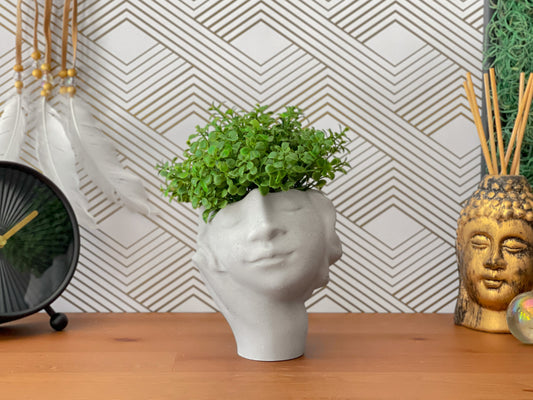 Face Succulent Planter on Hand - Blinks Emporium