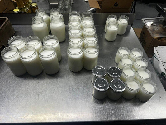 Unscented Grass-Fed Beef Tallow | 2 Pounds | Lady May Tallow