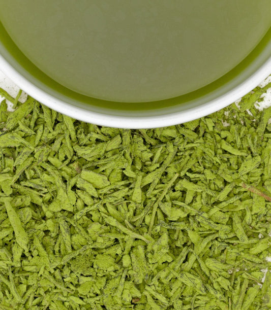 Close-up of green shredded material inside a green container