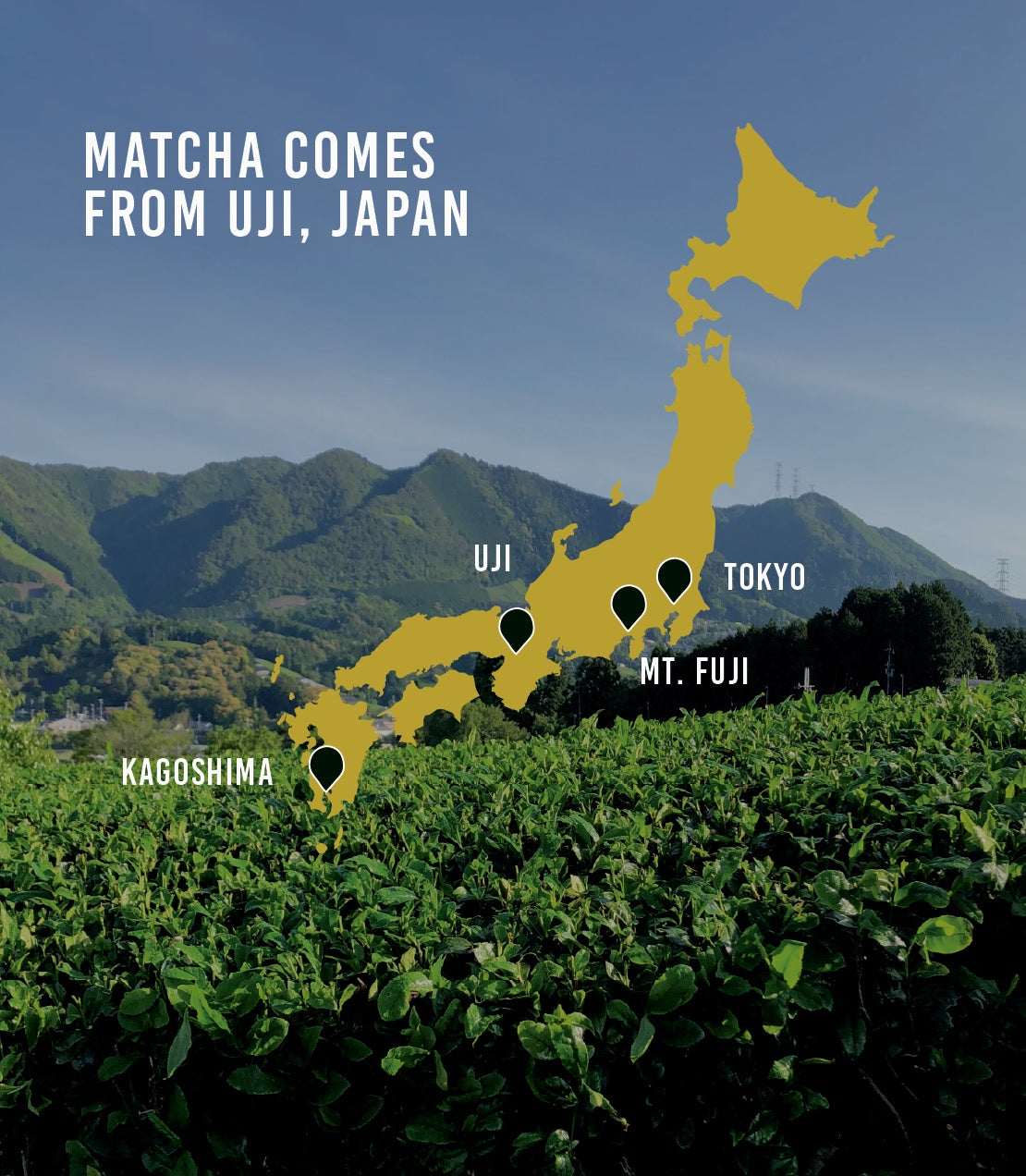 Jobetsugi Ceremonial Matcha (Thin Grade)