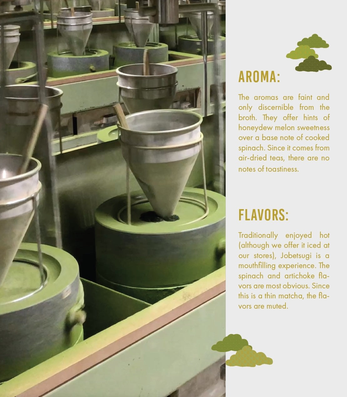 Tea production process with green tea leaves and machinery, accompanied by text about aroma and flavors.