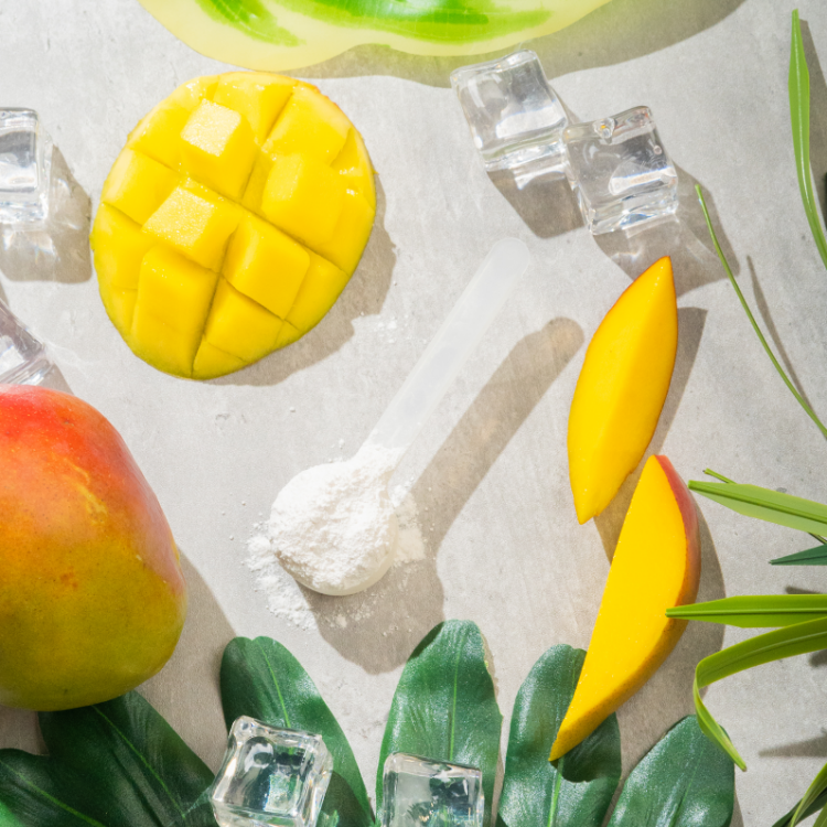 XEELA® CLEAN PRE WORKOUT