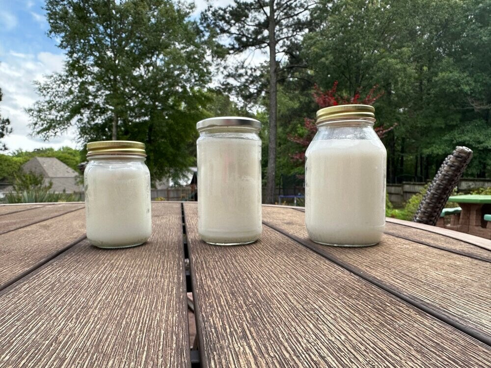 Unscented Beef Tallow - 2 Pounds | 100% Natural & Pure - Blinks Emporium